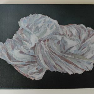 Eva-Riitta Pesonen, Folds