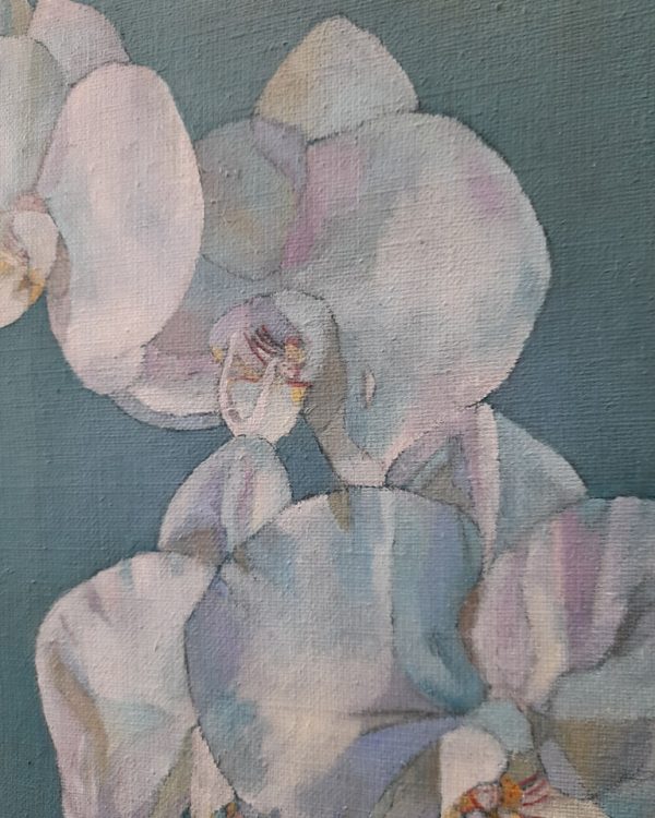 Eva-Riitta Pesonen, Orchids