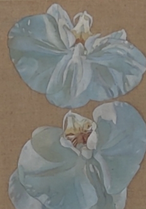 Eva-Riitta Pesonen, Perhoset